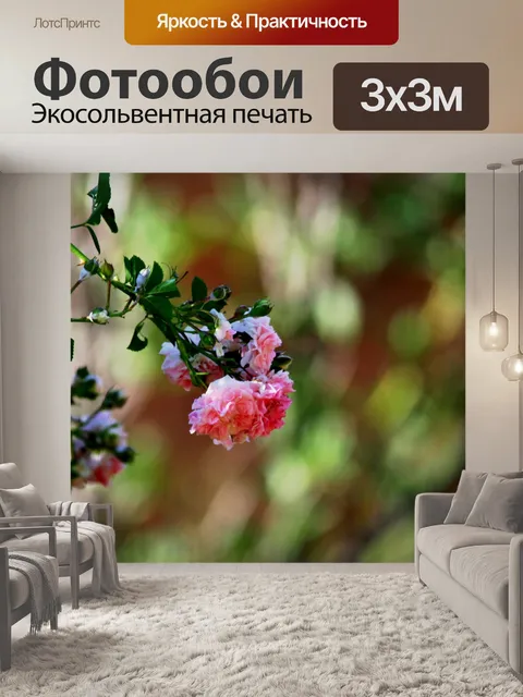 Фотообои Розовая роза на зеленом фоне
