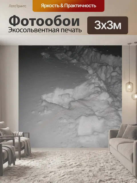 Фотообои Снег Trail