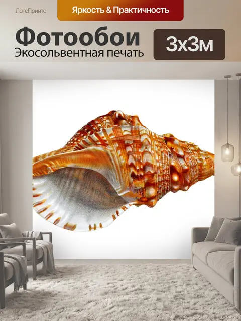 Фотообои Улитка ракушка дом винтаж