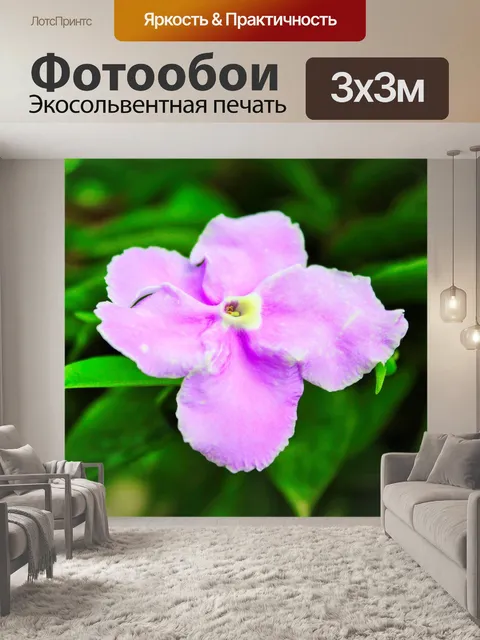 Фотообои Красивая