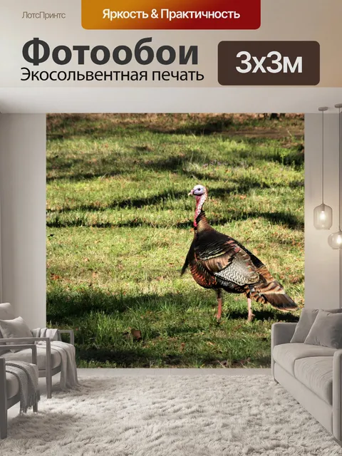 Фотообои Том Турция в зеленой траве