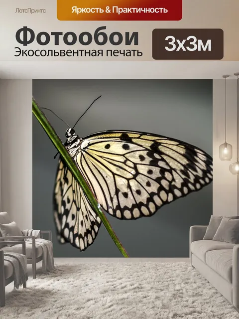 Фотообои Бабочка