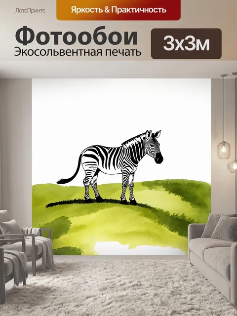 Фотообои одиночная зебра с характерным узором из черных и белых полос стоит на холме