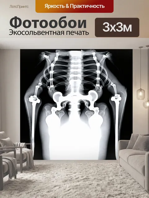 Фотообои рентгенография тазовой области собаки