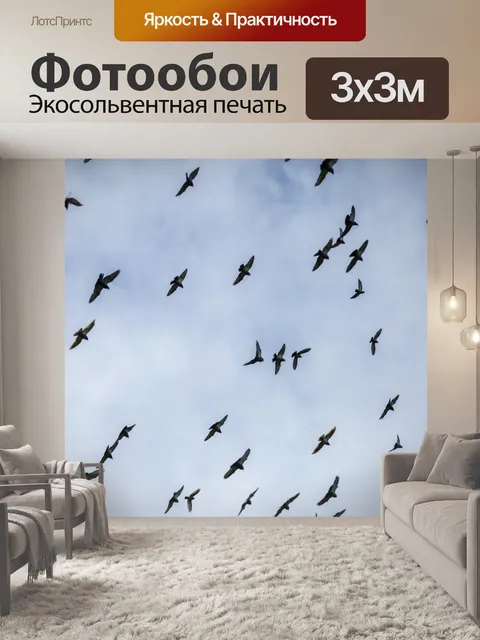 Фотообои Летающие птицы