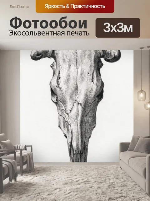 Фотообои Череп рогатый скот винтаж