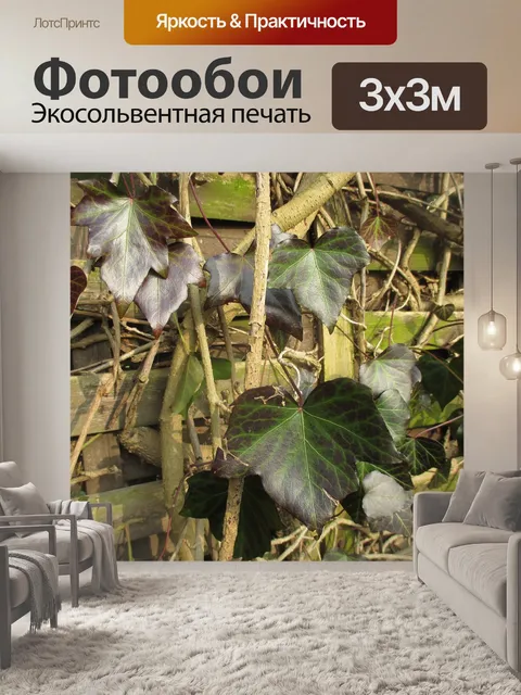 Фотообои Усик