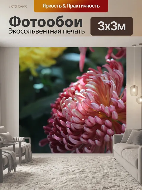Фотообои Фиолетовый дейзи