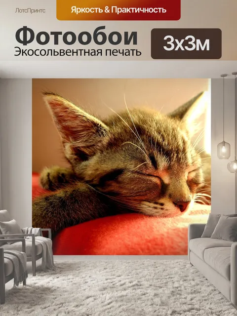 Фотообои Кот