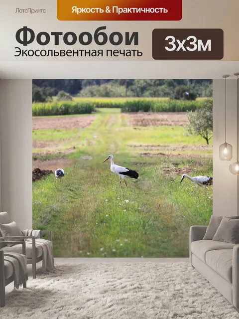 Фотообои Аисты