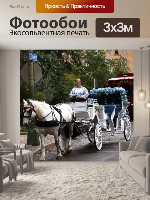 Фотообои Перевозка