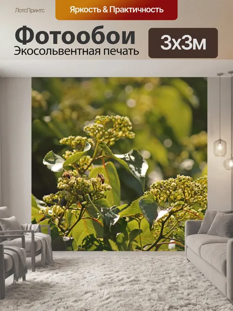 Фотообои пчелы на японском цветке изюма