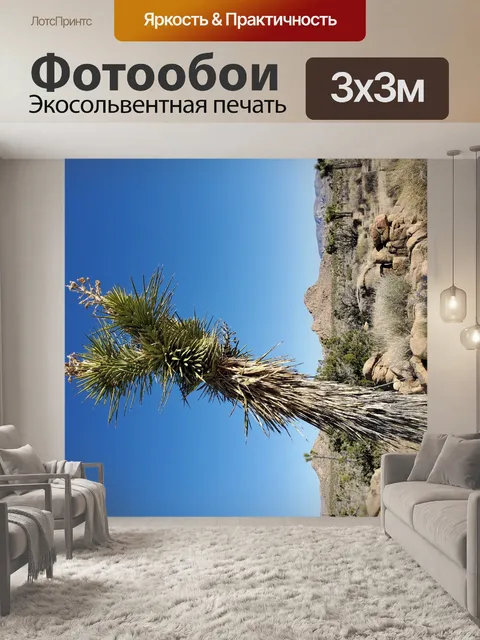Фотообои Пейзаж Пустыни Джошуа-Три