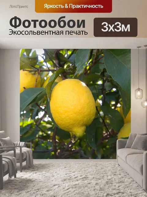 Фотообои Сад