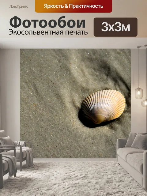 Фотообои Одна раковина на пляже
