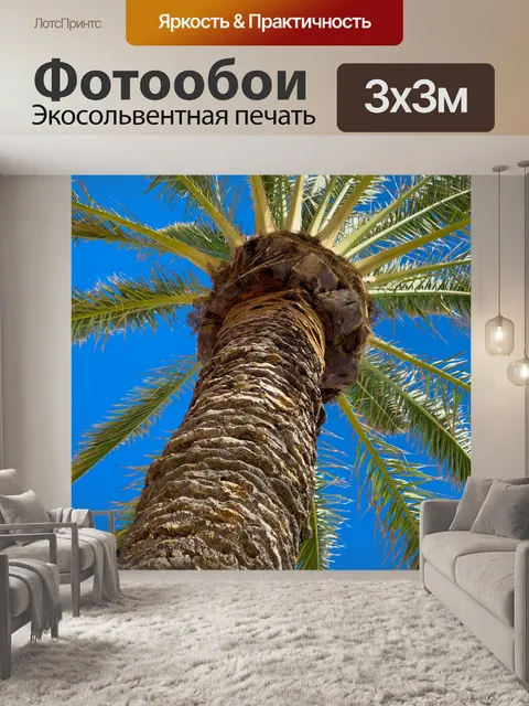 Фотообои Пальма и голубое небо