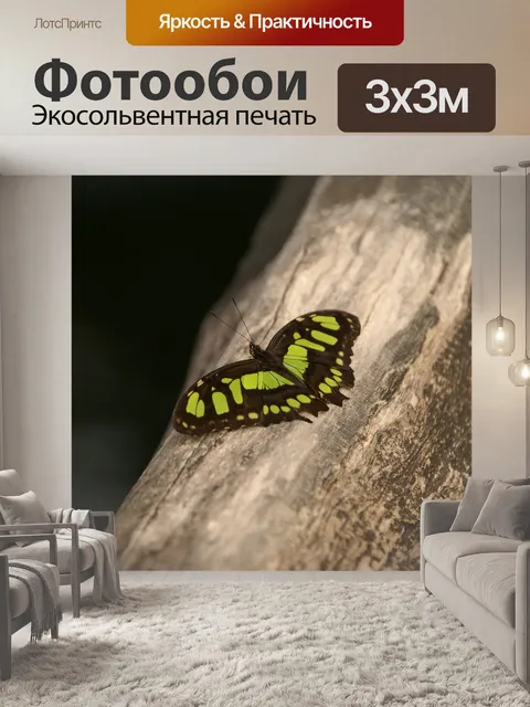 Фотообои Бабочка