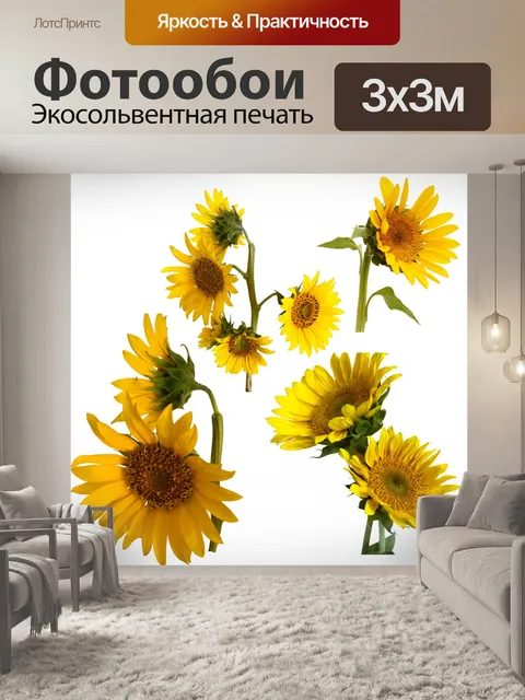 Фотообои Подсолнечное растение