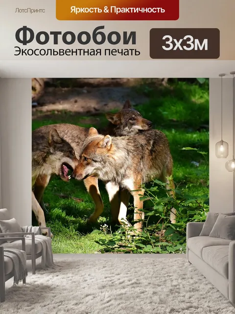 Фотообои Волки