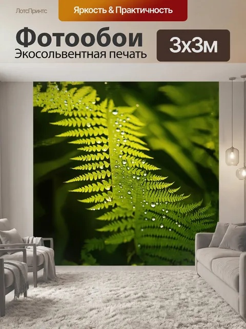 Фотообои крупный план зеленых листьев папоротника
