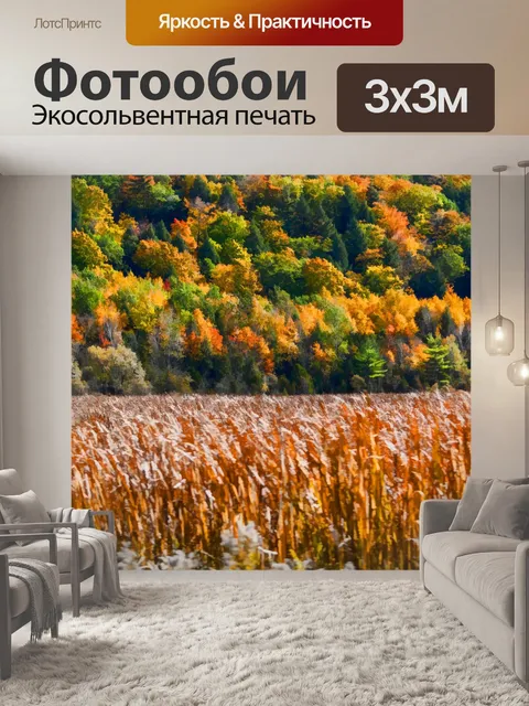 Фотообои Осенний лес и Корнфилдс