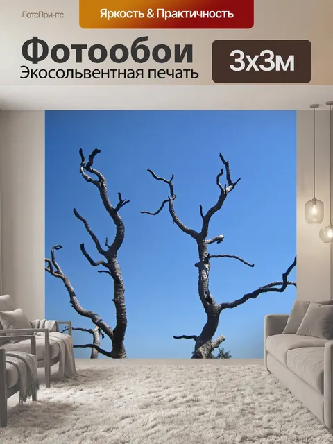 Фотообои серые ветви сухого дерева
