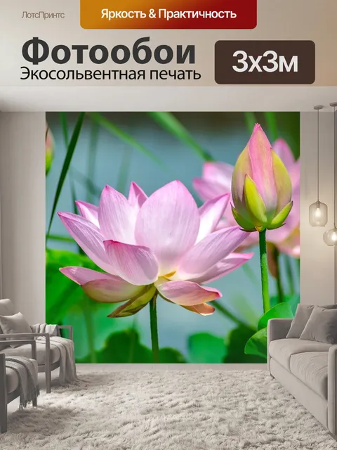 Фотообои Лотосы