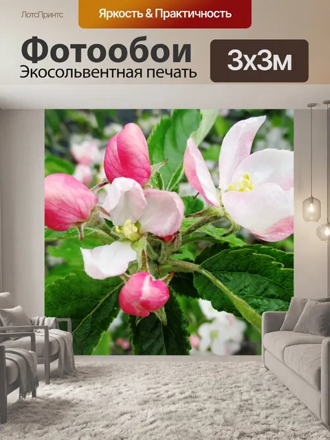 Фотообои Яблоневый цвет