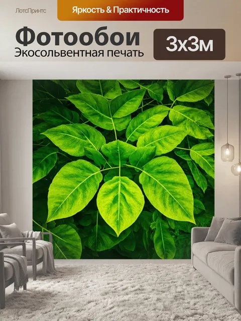 Фотообои зеленые в стиле текстуры, с яркими, крупных листьями, создающими красочный и бодрящий аромат природы