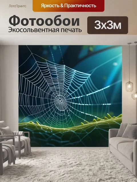 Фотообои пейзаж с паутиной смешной