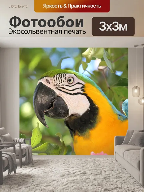 Фотообои Птица