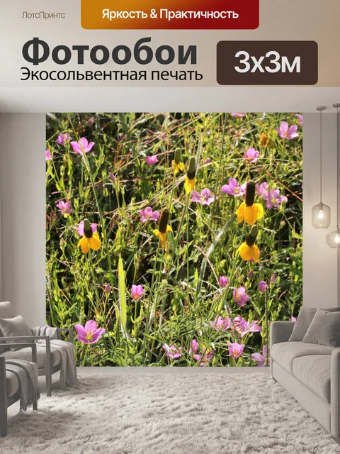 Фотообои Весенние полевые цветы крупным планом