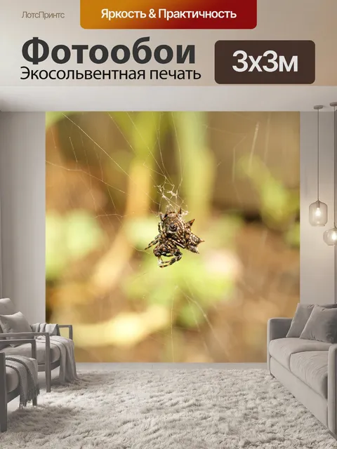 Фотообои Картинки