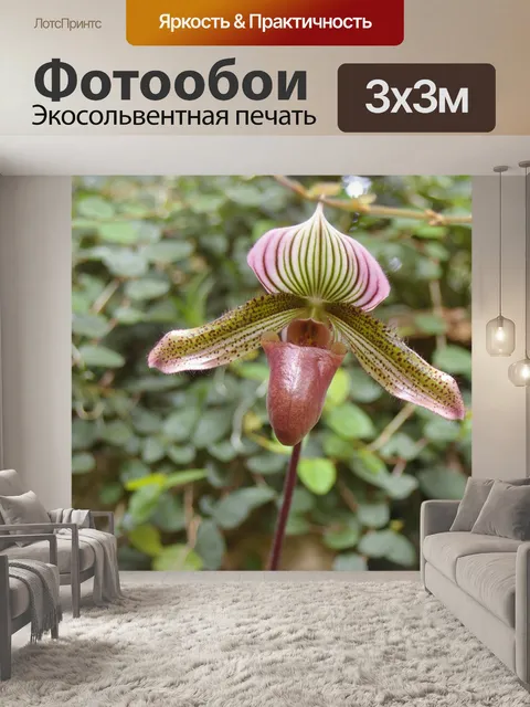 Фотообои Экзотика