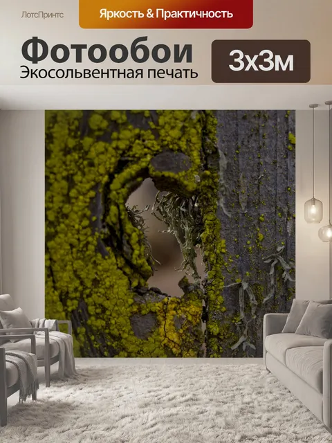 Фотообои Мосс на заборе