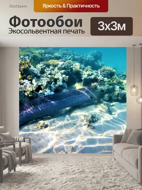 Фотообои Мурена
