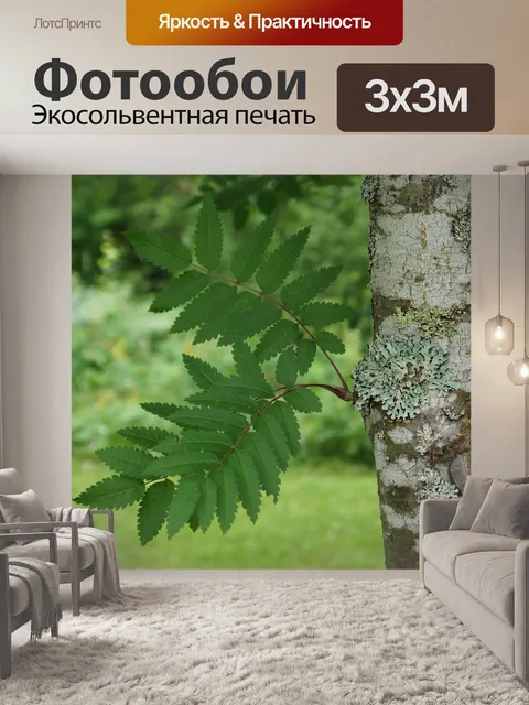 Фотообои Рябина
