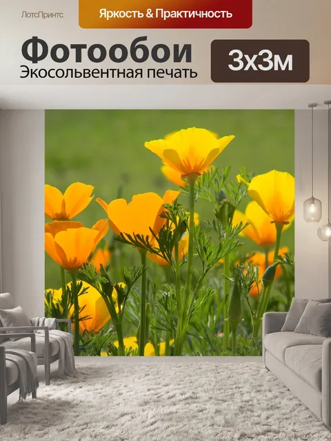 Фотообои Мак