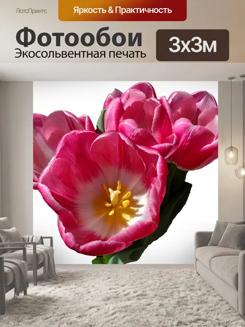 Фотообои Наклейка с тюльпанами и вырезом