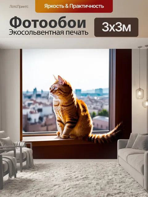 Фотообои кот, сидящий на окне с видом на город