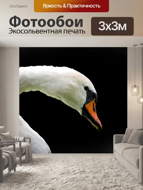 Фотообои Лебедь, черный фон