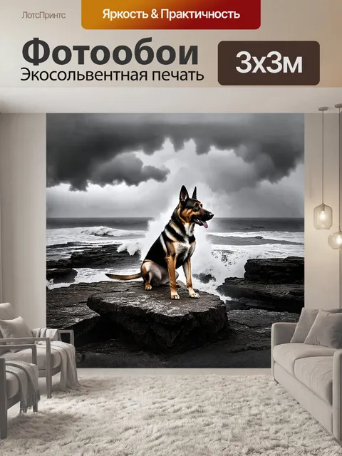 Фотообои овчарка, сидящая на каменном утесе над бурным морем, волны которого бьют о скалы