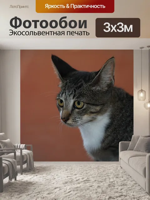 Фотообои Feline