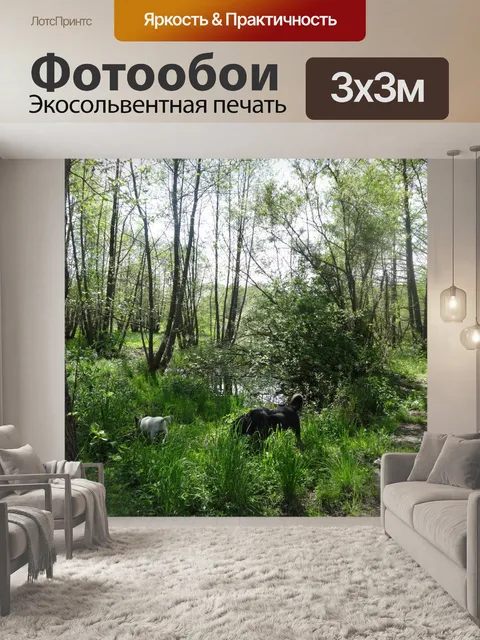 Фотообои Собака на прогулке