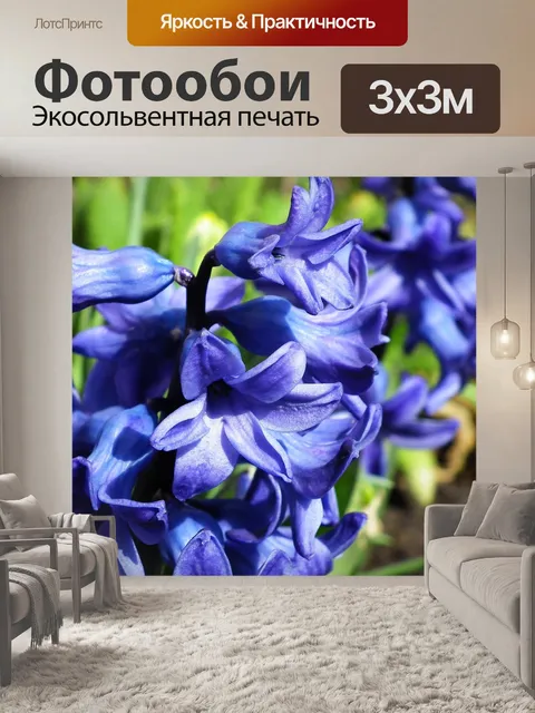 Фотообои Цветок