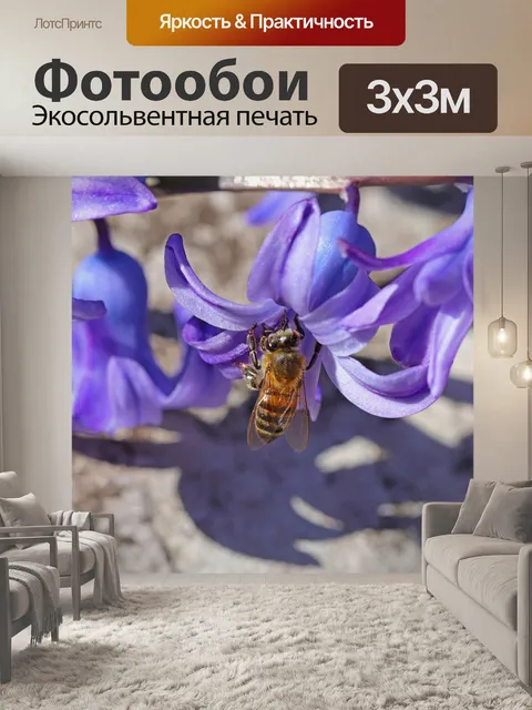 Фотообои Пчела