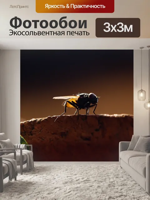 Фотообои Летать
