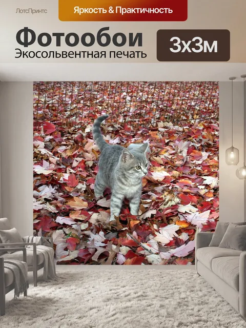 Фотообои Кошка
