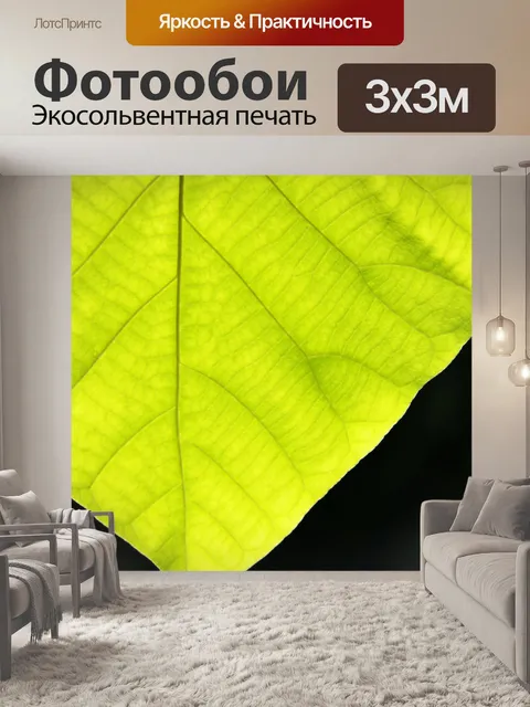 Фотообои Текстура зеленых листьев