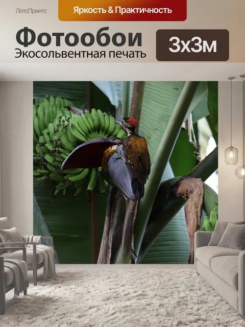 Фотообои Птица